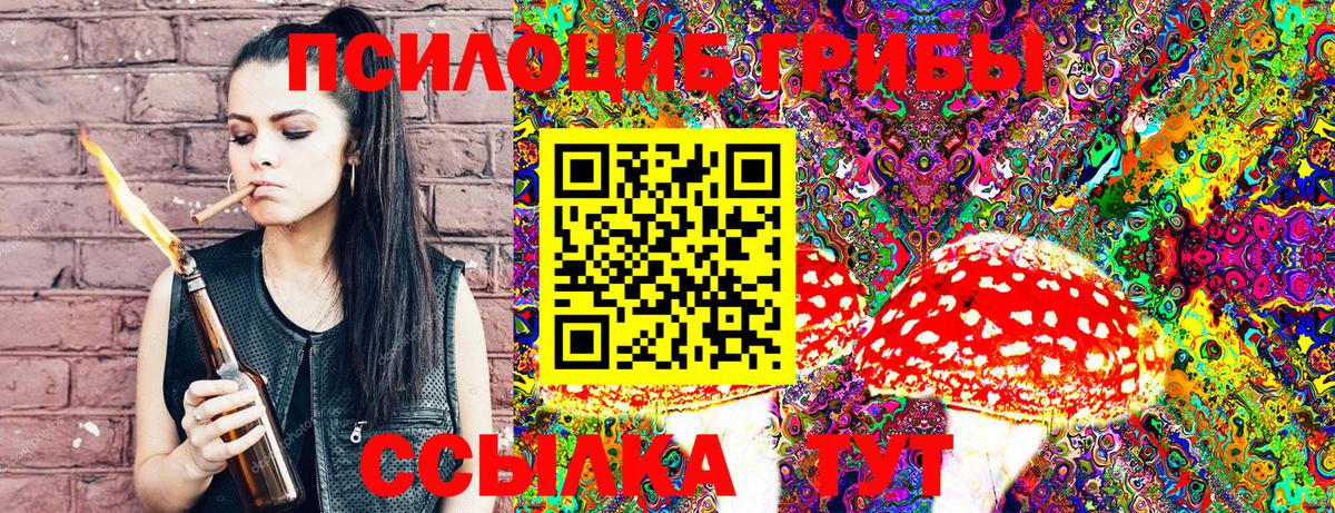 Галлюциногенные грибы Psilocybine cubensis Партизанск